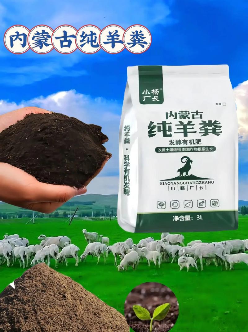 现在喂羊吃什么饲料-第3张图片-宁夏农业信息网