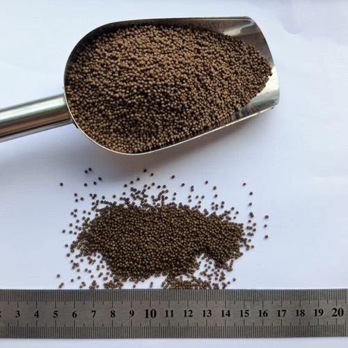 黄鳝养殖吃什么饲料-第2张图片-宁夏农业信息网 黄鳝养殖吃什么饲料-第2张图片-宁夏农业信息网