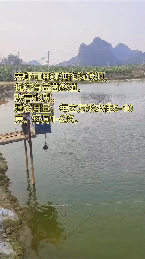 养殖对虾什么时候需要泼碳源-第3张图片-宁夏农业信息网