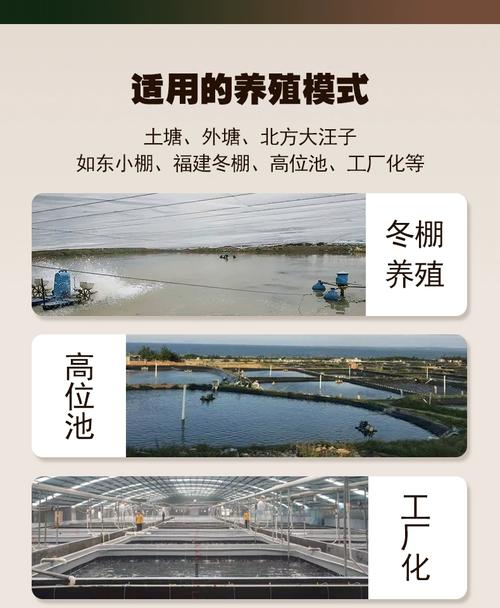 养殖对虾什么时候需要泼碳源-第2张图片-宁夏农业信息网