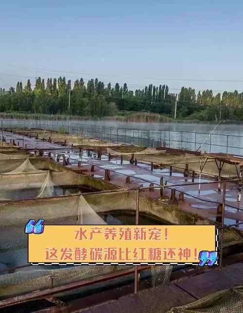 养殖对虾什么时候需要泼碳源-第1张图片-宁夏农业信息网