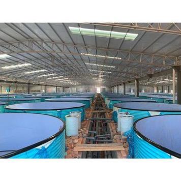 养殖白对虾需要什么设备-第3张图片-宁夏农业信息网