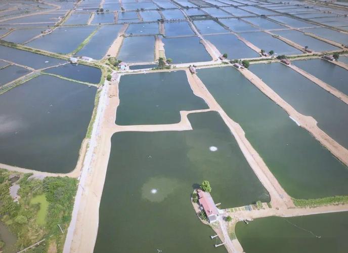 水产养殖为什么用地西洋-第1张图片-宁夏农业信息网 水产养殖为什么用地西洋-第1张图片-宁夏农业信息网
