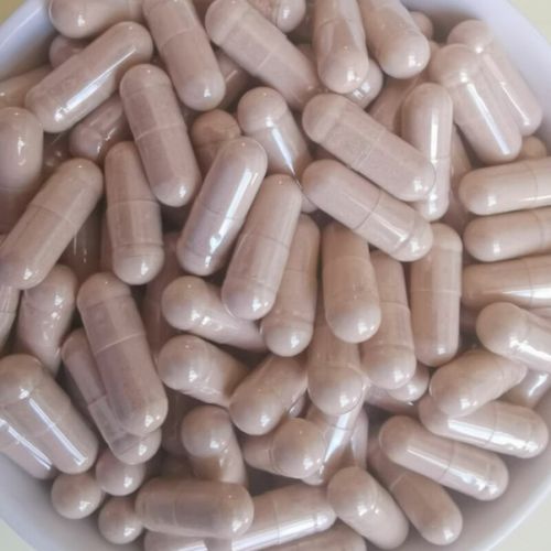 土元胶囊价格是多少-第1张图片-宁夏农业信息网