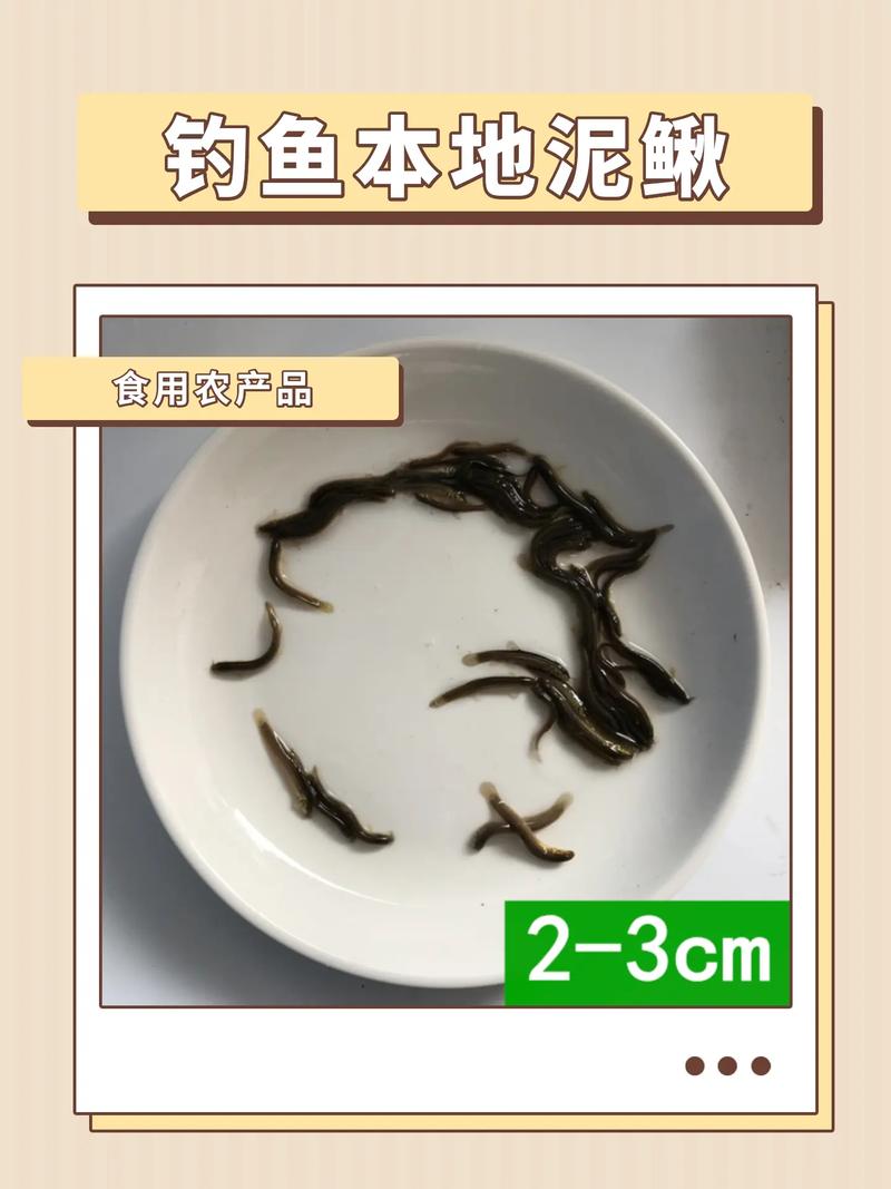 黑龙江泥鳅用什么饲料-第2张图片-宁夏农业信息网