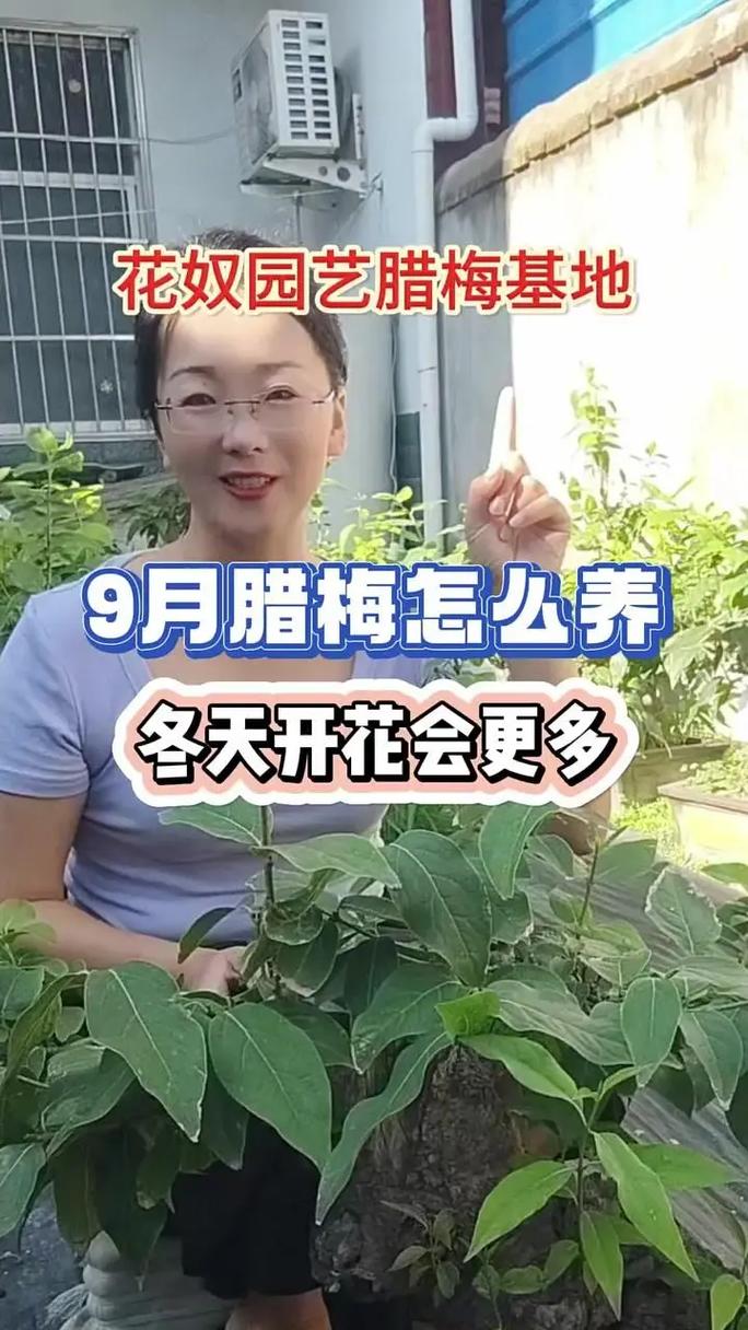 九月份应该养殖什么-第3张图片-宁夏农业信息网