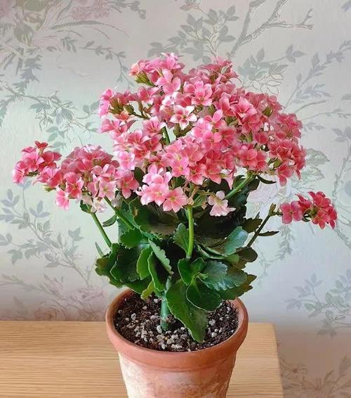 九月份应该养殖什么-第1张图片-宁夏农业信息网