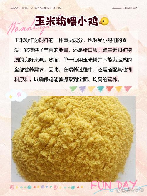 鸡吃什么饲料便宜-第2张图片-宁夏农业信息网