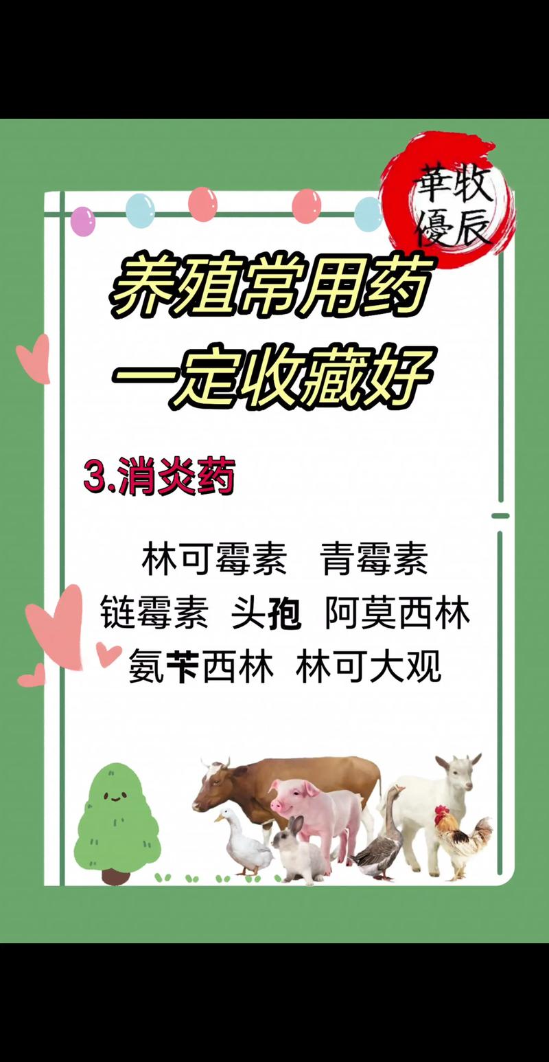 养殖买药在什么地方买安全呢-第2张图片-宁夏农业信息网