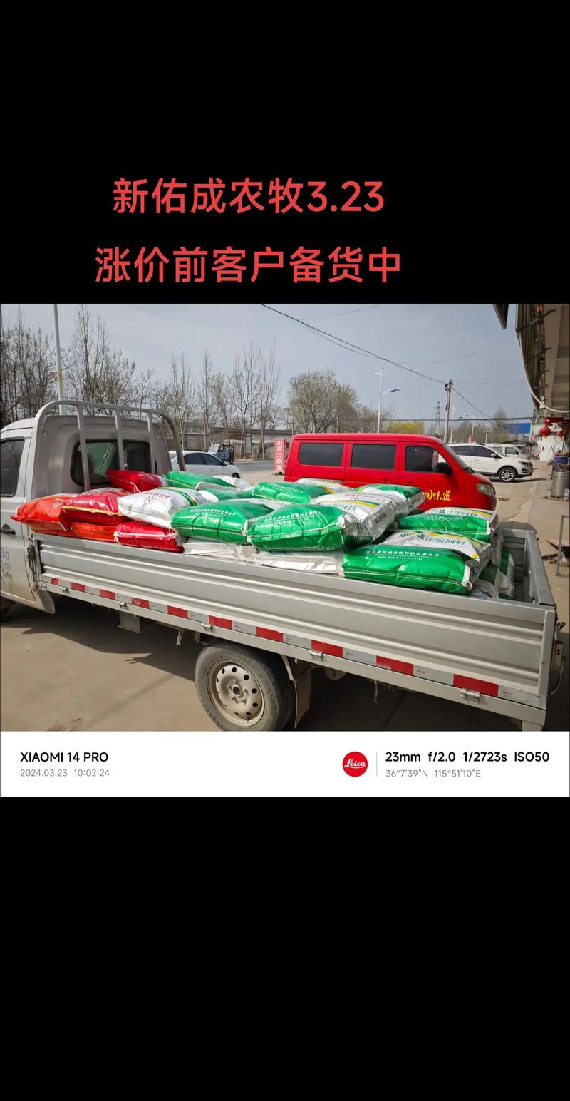 育肥猪喂什么饲料-第2张图片-宁夏农业信息网