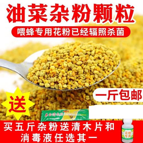 蜜蜂饲喂什么饲料-第3张图片-宁夏农业信息网