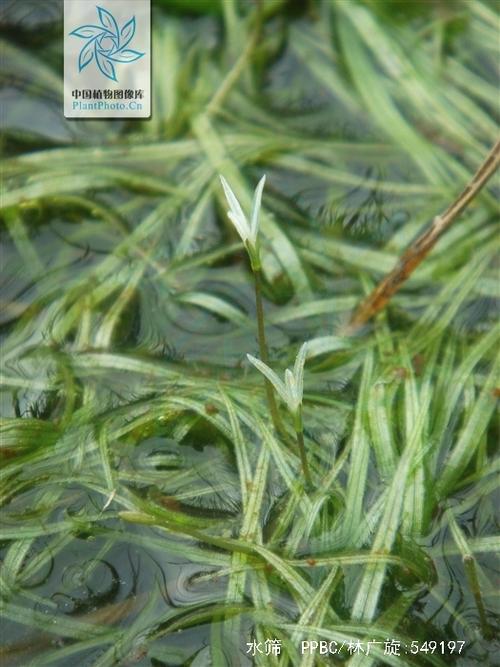 生料水筛细度怎么做-第2张图片-宁夏农业信息网