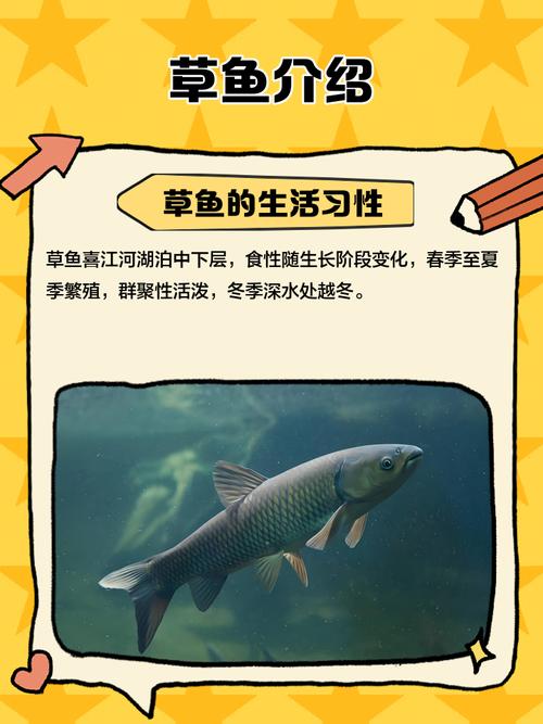 闻什么方法让草鱼适应海水养殖-第2张图片-宁夏农业信息网