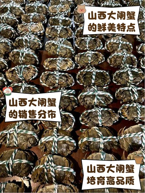 山西适合什么水产养殖-第2张图片-宁夏农业信息网