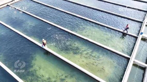 山西适合什么水产养殖-第3张图片-宁夏农业信息网