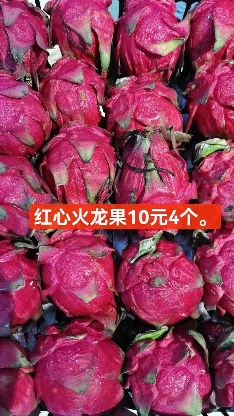 火龙果价格是多少-第2张图片-宁夏农业信息网