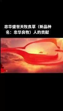 养牛吃什么饲料好-第2张图片-宁夏农业信息网