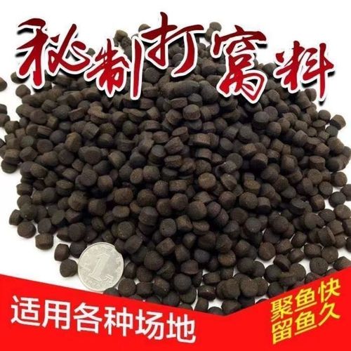 虹鳟鱼吃什么 饲料-第1张图片-宁夏农业信息网