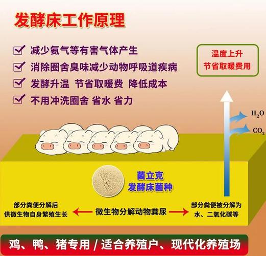 饲料发酵菌种发酵什么-第3张图片-宁夏农业信息网