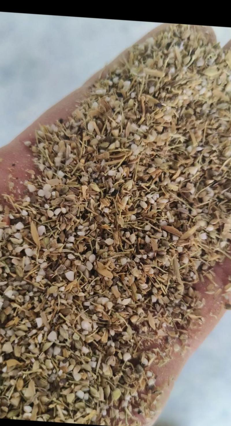 养鸭用什么饲料好-第3张图片-宁夏农业信息网