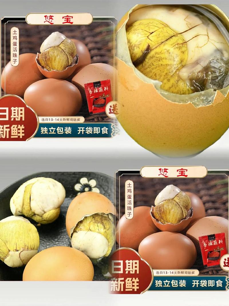 豪猪子吃什么饲料-第2张图片-宁夏农业信息网