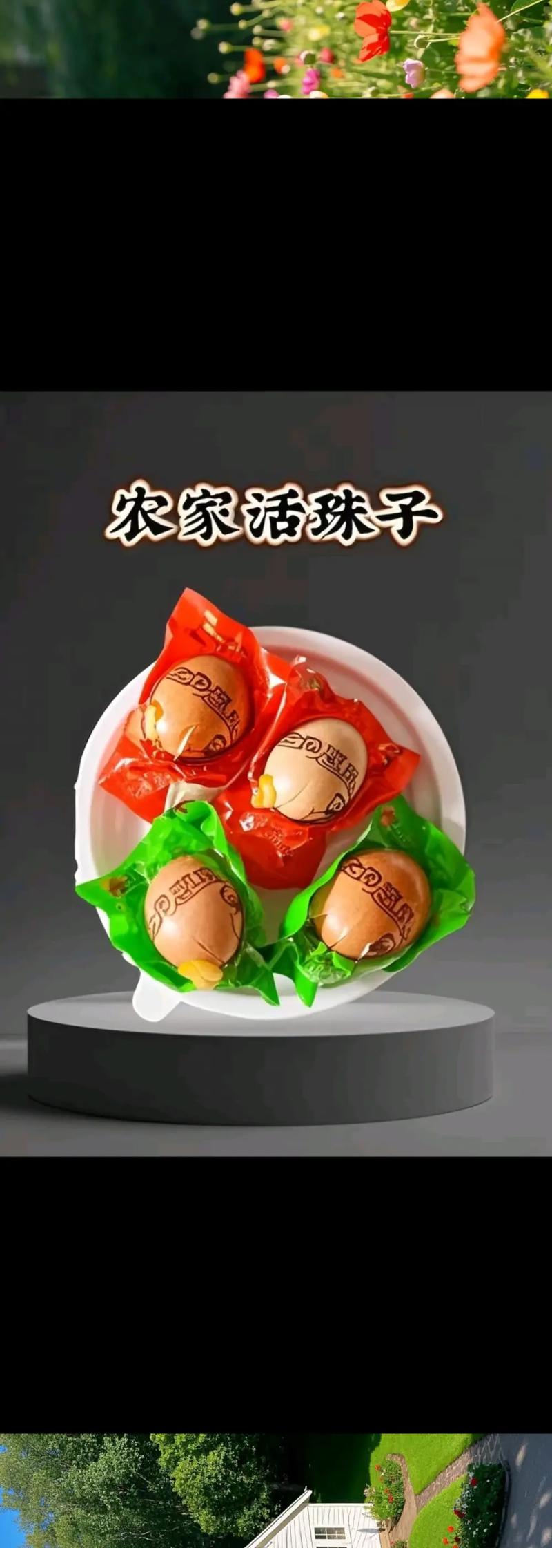 豪猪子吃什么饲料-第3张图片-宁夏农业信息网