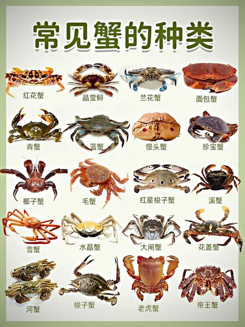 为什么江蟹比养殖蟹长得慢-第2张图片-宁夏农业信息网