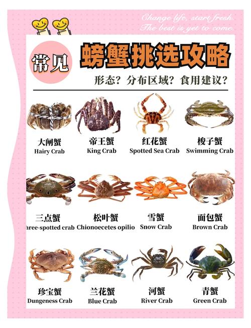 为什么江蟹比养殖蟹长得慢-第3张图片-宁夏农业信息网