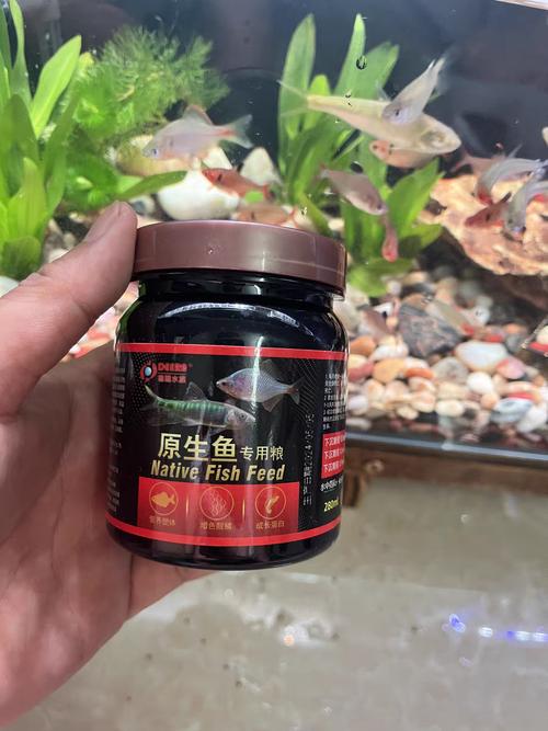 石斑鱼的饲料是什么-第3张图片-宁夏农业信息网 石斑鱼的饲料是什么-第3张图片-宁夏农业信息网