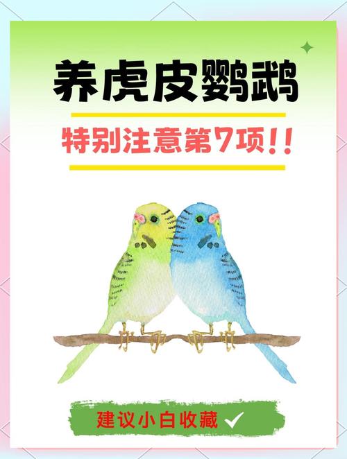 虎皮鹦鹉怀孕喂什么饲料-第2张图片-宁夏农业信息网 虎皮鹦鹉怀孕喂什么饲料-第2张图片-宁夏农业信息网