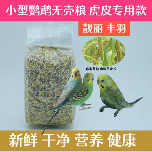 虎皮鹦鹉怀孕喂什么饲料-第3张图片-宁夏农业信息网 虎皮鹦鹉怀孕喂什么饲料-第3张图片-宁夏农业信息网