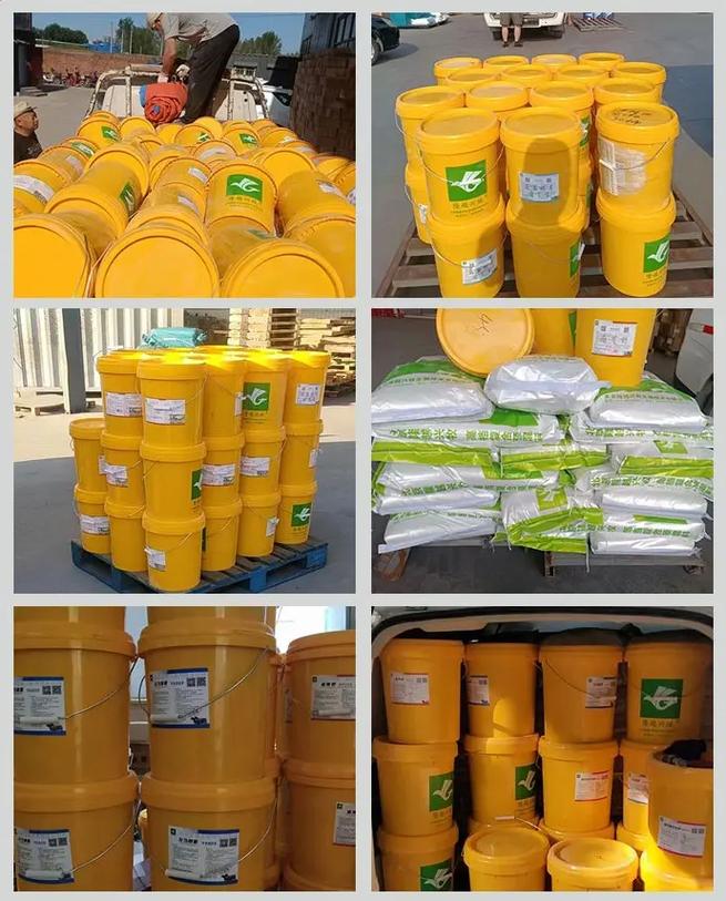 什么饲料牛长的快-第1张图片-宁夏农业信息网