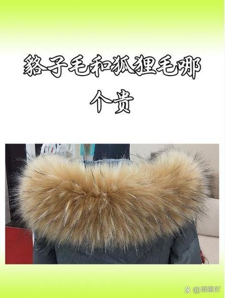 狐狸今天价格是多少-第1张图片-宁夏农业信息网