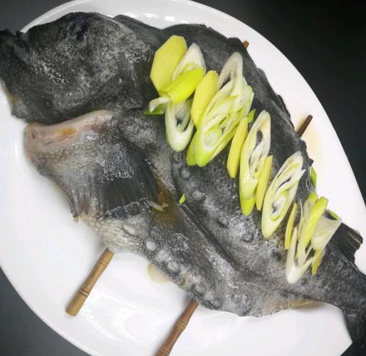 海参池养殖什么鱼-第3张图片-宁夏农业信息网 海参池养殖什么鱼-第3张图片-宁夏农业信息网