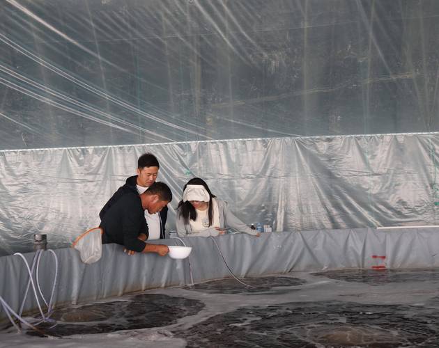 养殖虾苗用什么来消毒-第2张图片-宁夏农业信息网