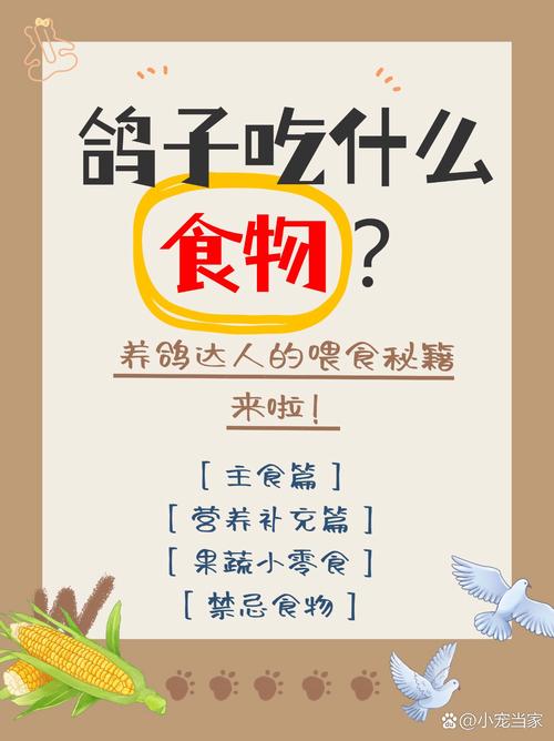 鸽子喂什么节省饲料-第2张图片-宁夏农业信息网