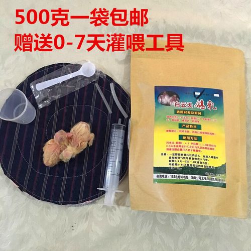 鸽子喂什么节省饲料-第3张图片-宁夏农业信息网