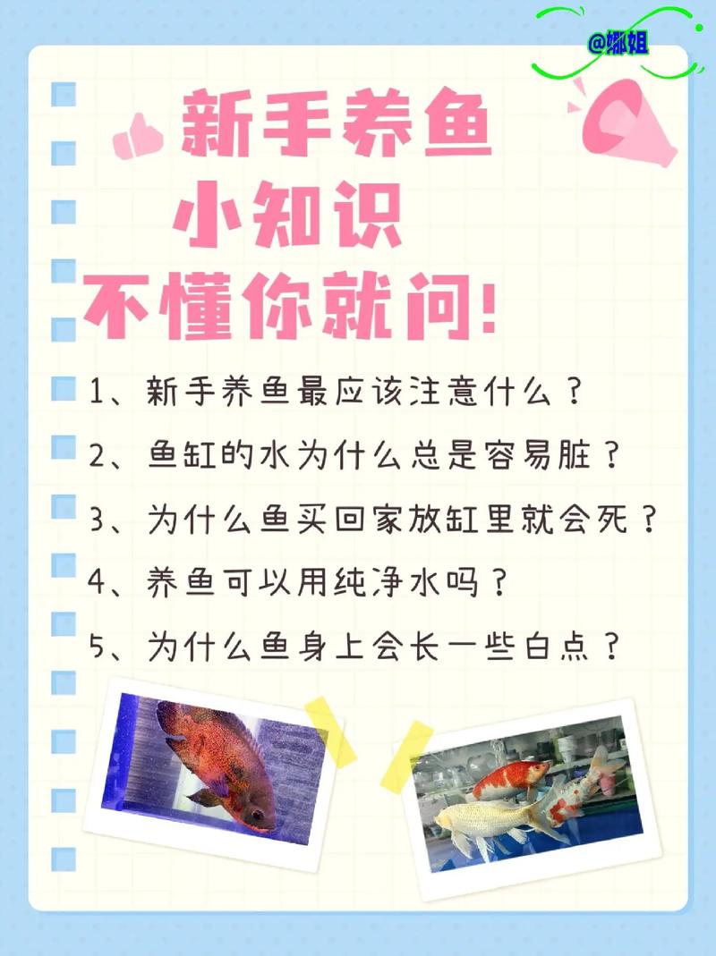 为什么给养殖鱼打针-第2张图片-宁夏农业信息网 为什么给养殖鱼打针-第2张图片-宁夏农业信息网