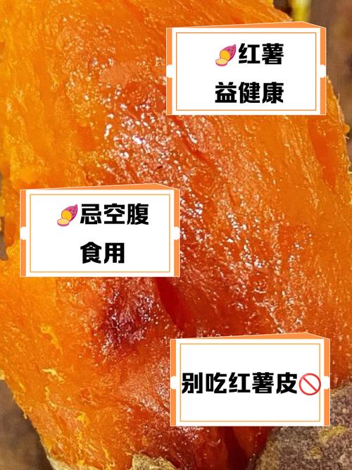 红薯属于什么饲料-第2张图片-宁夏农业信息网