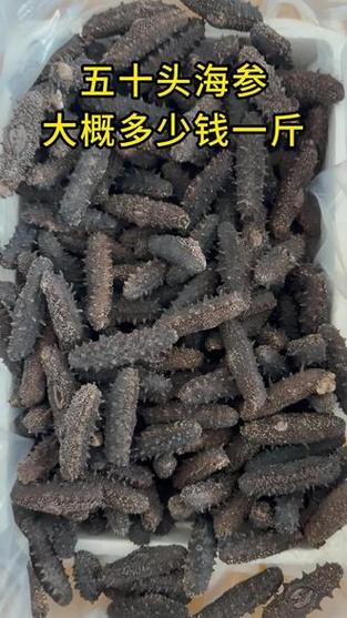 养殖参价格多少钱-第3张图片-宁夏农业信息网