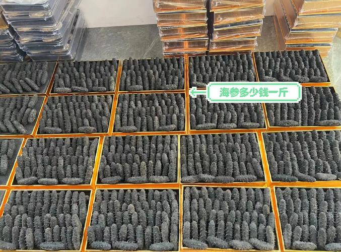 养殖参价格多少钱-第2张图片-宁夏农业信息网