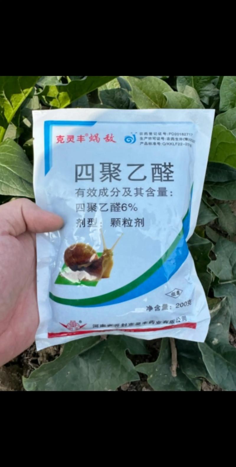 用什么饲料能替代田螺-第2张图片-宁夏农业信息网