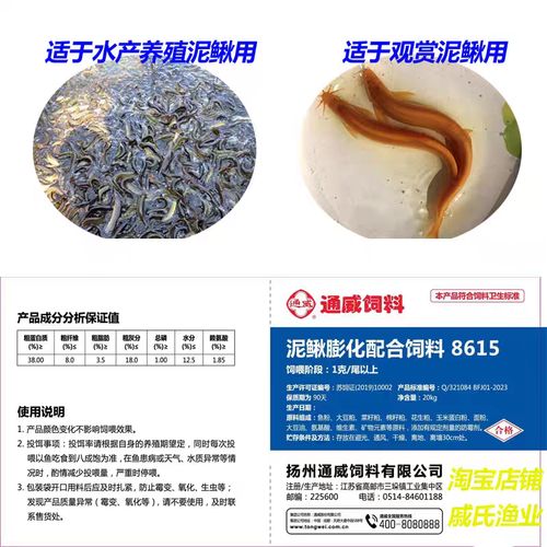 养泥鳅用什么饲料-第1张图片-宁夏农业信息网