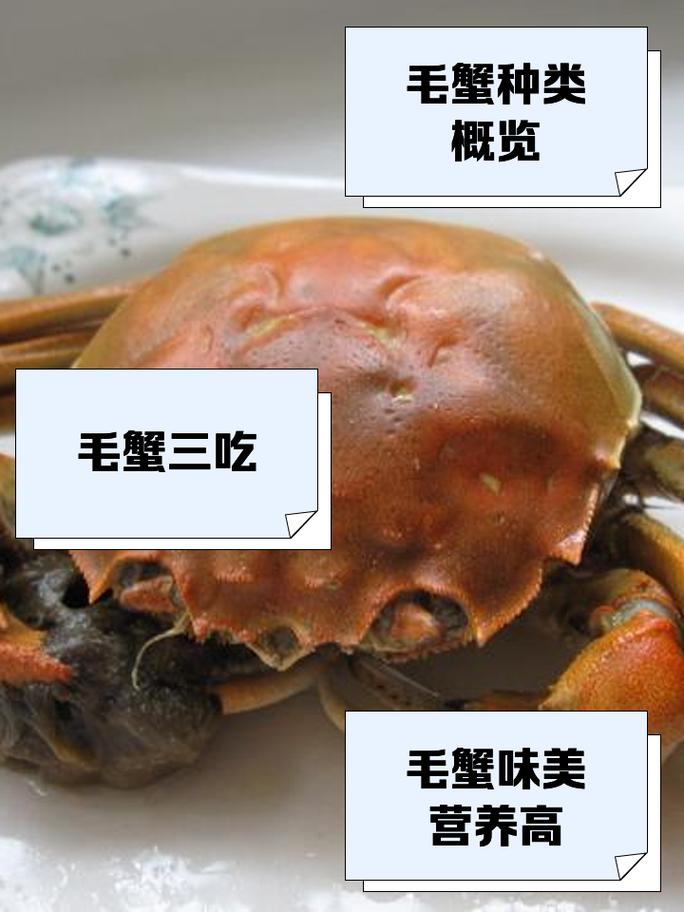毛蟹除了吃饲料还吃什么呢-第3张图片-宁夏农业信息网