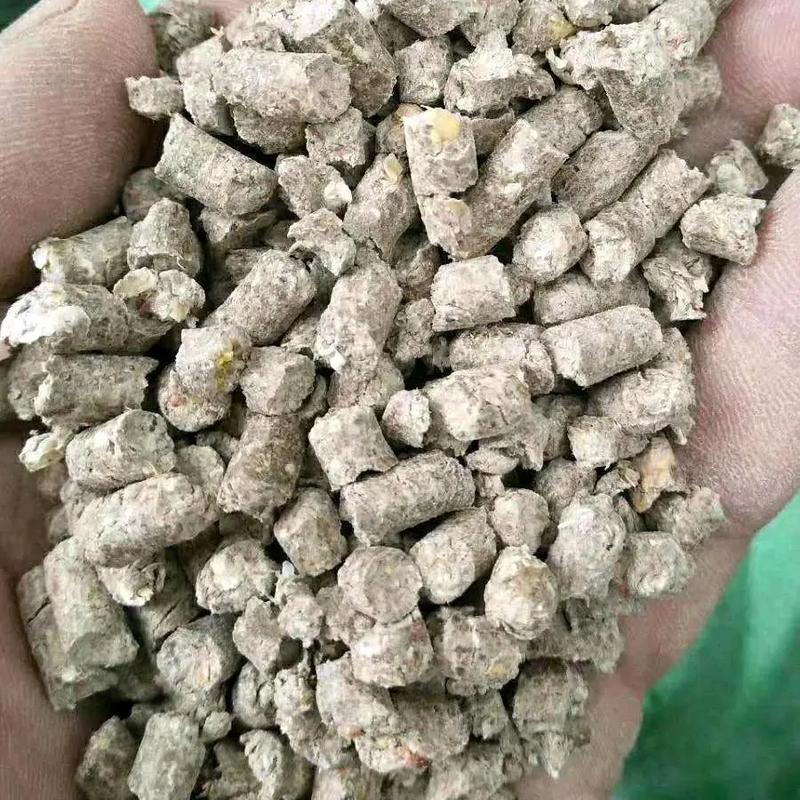 定粉做什么饲料-第2张图片-宁夏农业信息网