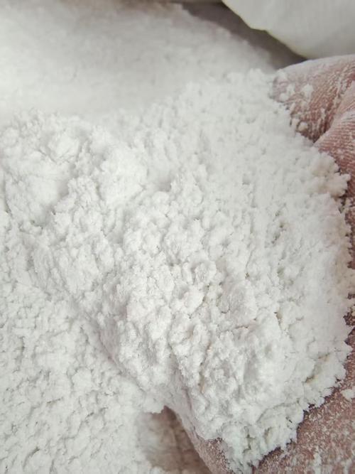 定粉做什么饲料-第3张图片-宁夏农业信息网