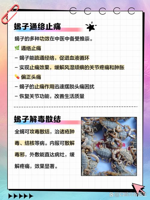 蝎蚣胶囊多少价格啊-第2张图片-宁夏农业信息网