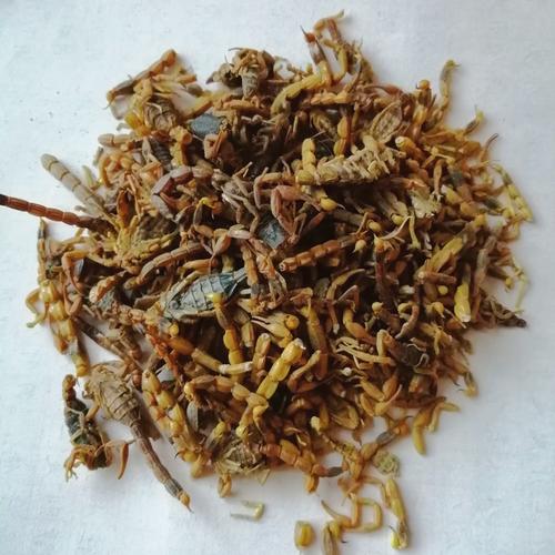蝎蚣胶囊多少价格啊-第1张图片-宁夏农业信息网