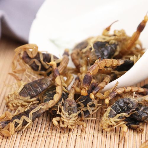 蝎蚣胶囊多少价格啊-第3张图片-宁夏农业信息网