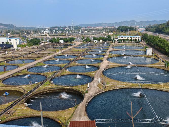 什么地方适合养殖鲟鱼-第2张图片-宁夏农业信息网